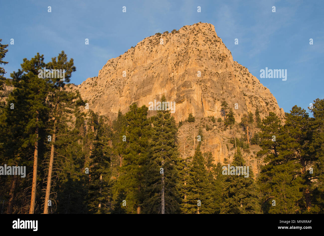 Sunrise on Cathedral Rock, Spring Mountains National Recreation area, Mt. Charleston, Nevada, wild area just outside Las Vegas Stock Photo