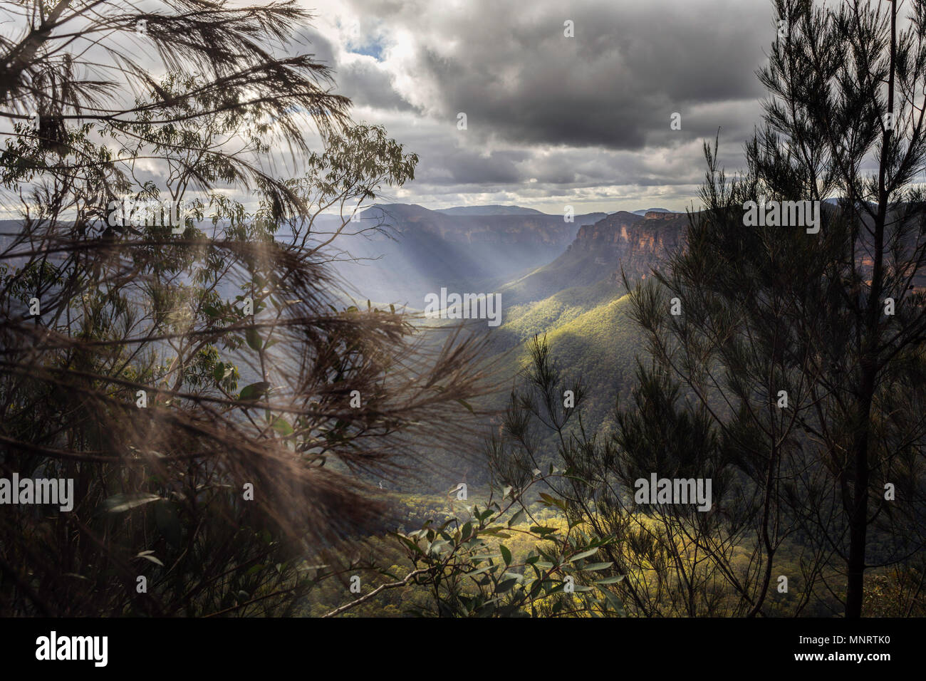The sun's rays filter through the clouds to highlight the valley below of the Blue Mountains. Stock Photo