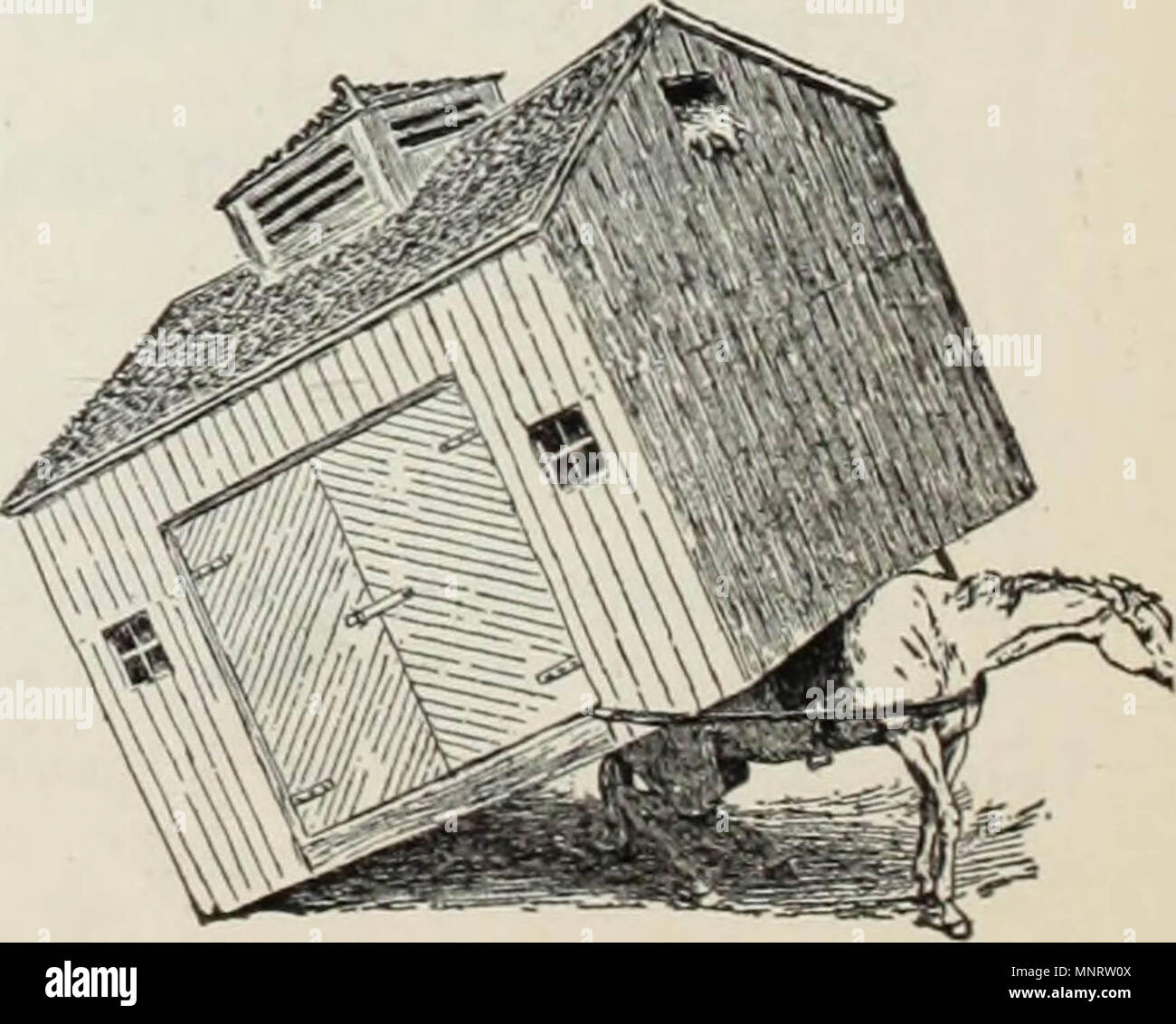 "The Bookshelf for boys and girls Children's Book of Fact and Fancy