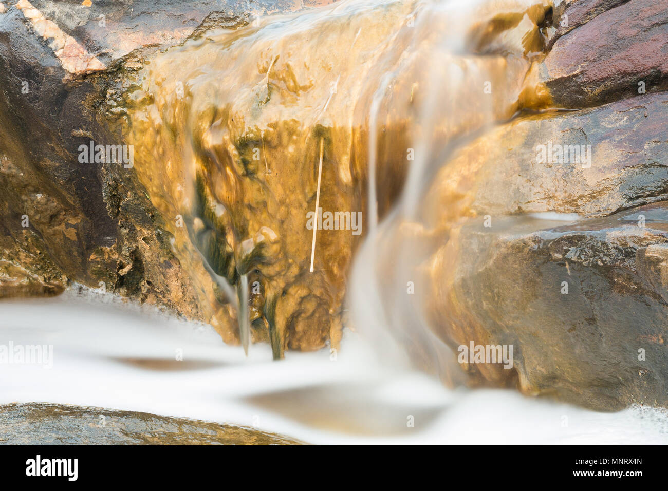 Water flows over algae-covered sandstone rocks in Penneshaw on Kangaroo Island, South Australia, Australia. Stock Photo