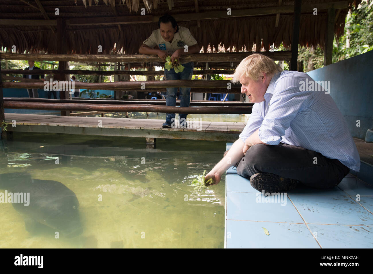 Foreign Secretary Boris Johnson attempts to feed manatees that have