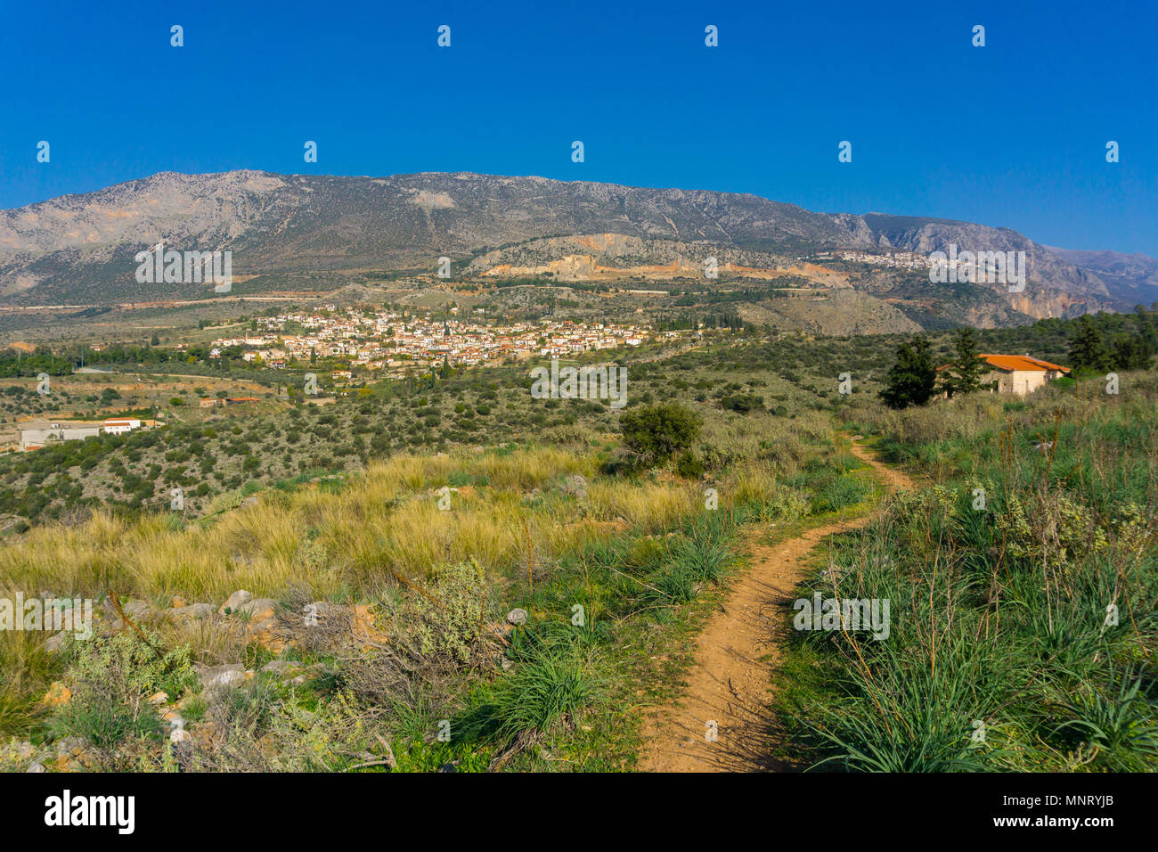 Hiking the ancient Pilgrims' path down to the ancient port of Kirra in Delphi of Greece. Stock Photo