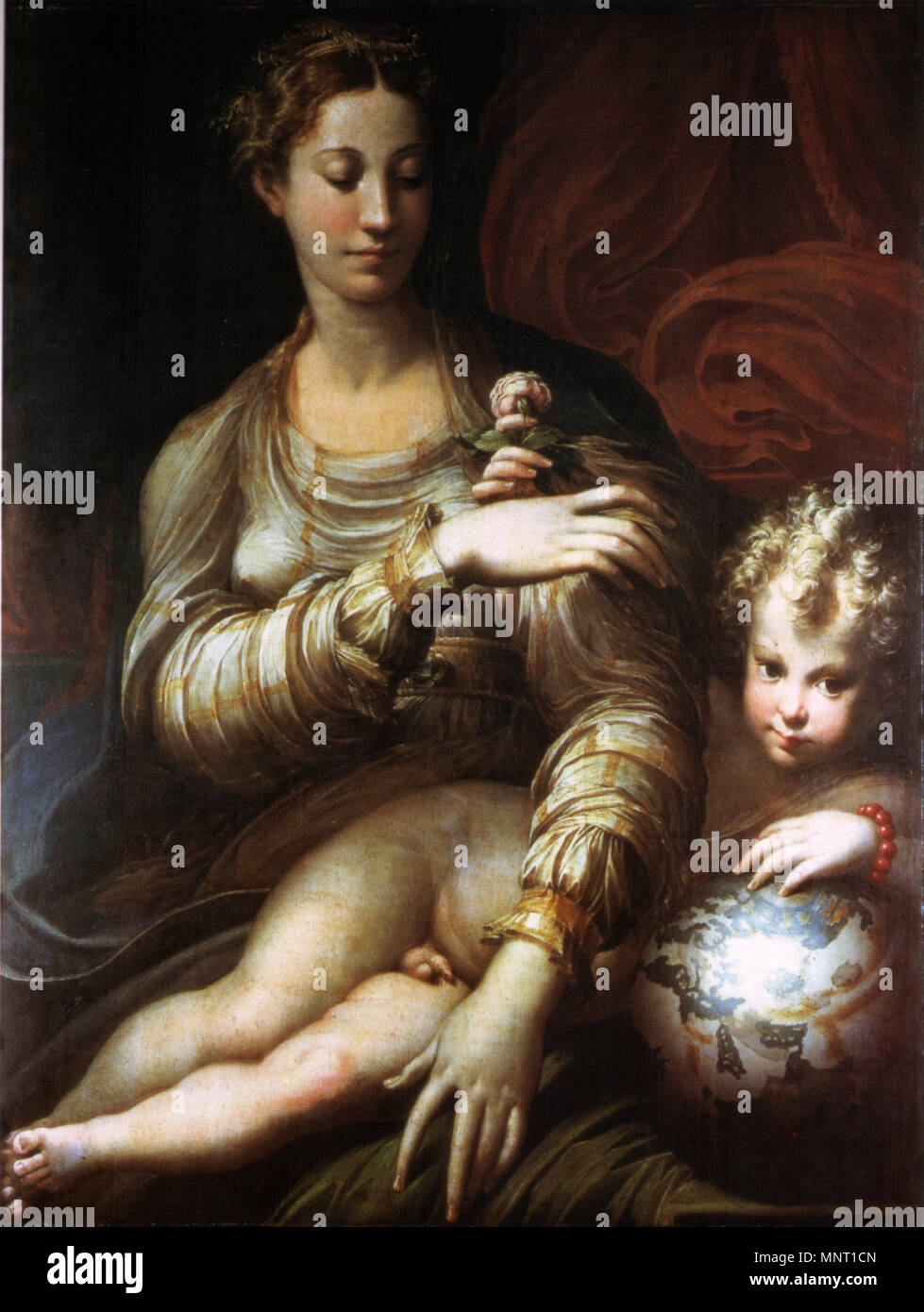 Madonna of the rose . Parmigianino, madonna della rosa . 1520s-1530s. see filename or category 962 Parmigianino, madonna della rosa 01 Stock Photo