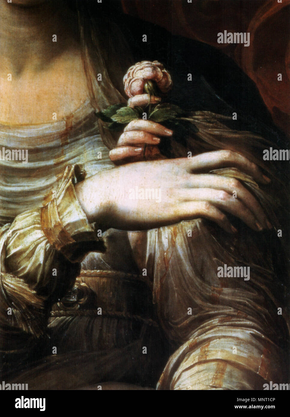 Rosa renaissance hi-res stock photography and images - Alamy, image size:966x1390