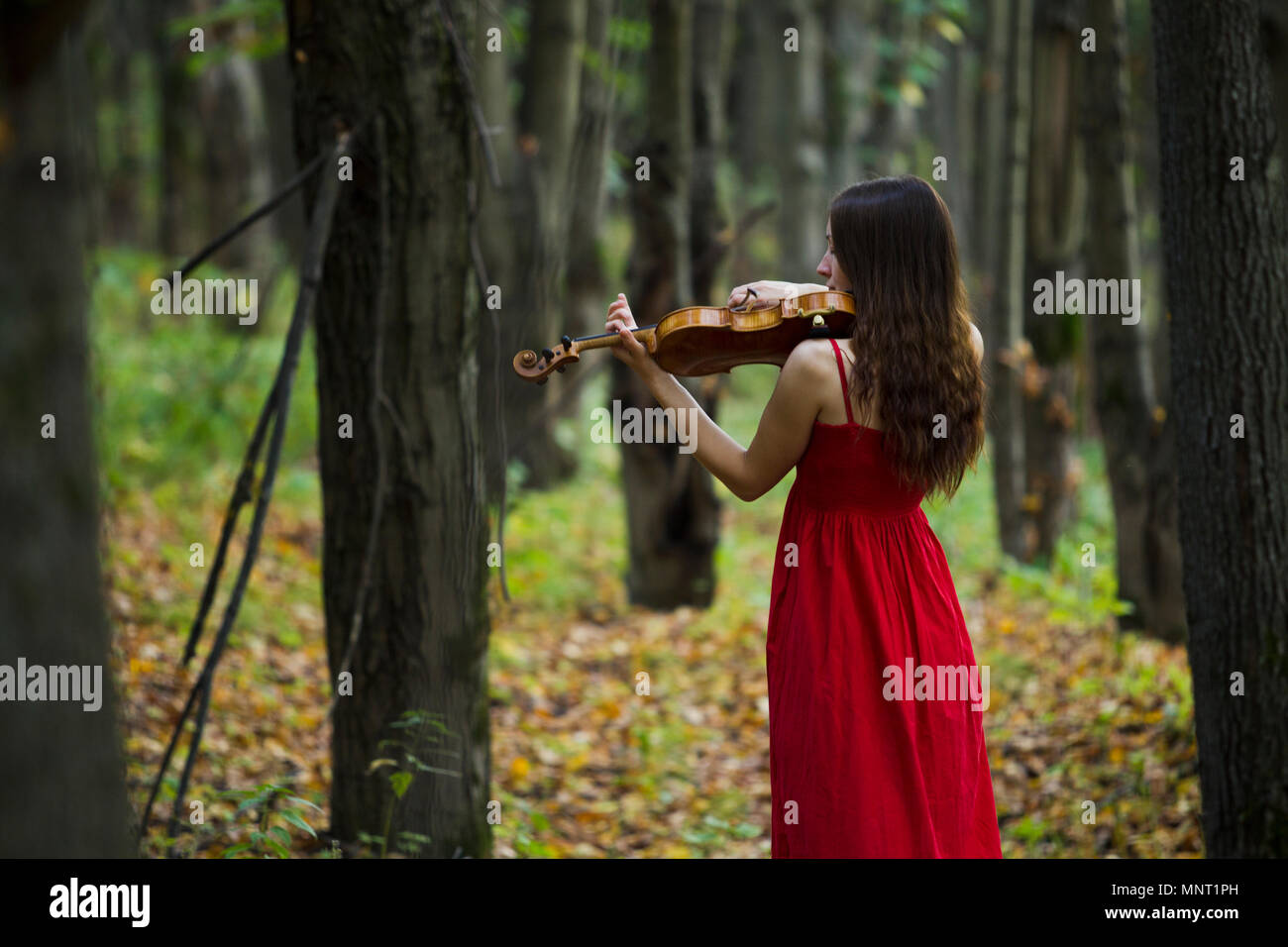Girl in a red dress playing the violin in the woods, soft light Stock ...