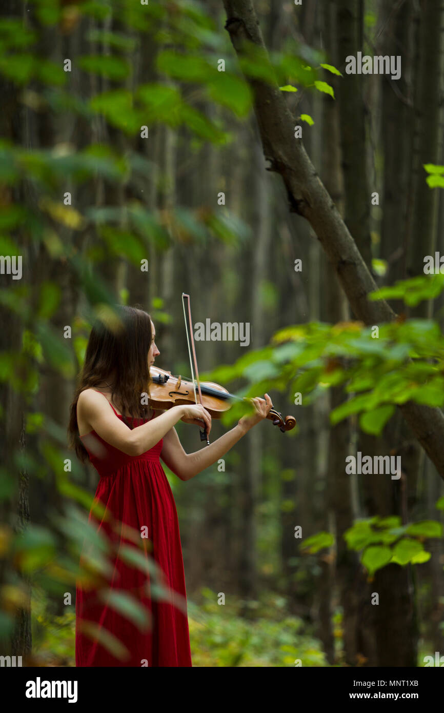 Girl in a red dress playing the violin in the woods, soft light Stock ...