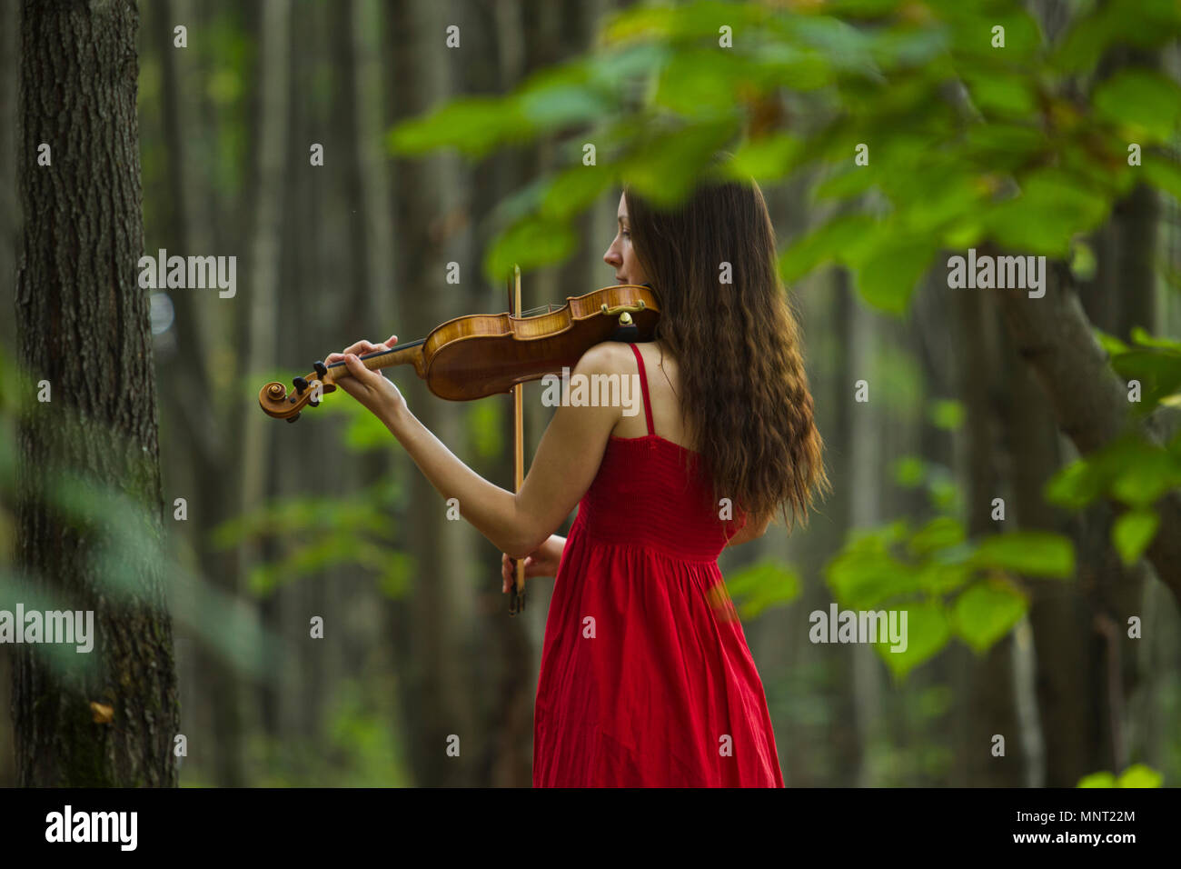 Girl in a red dress playing the violin in the woods, soft light Stock ...