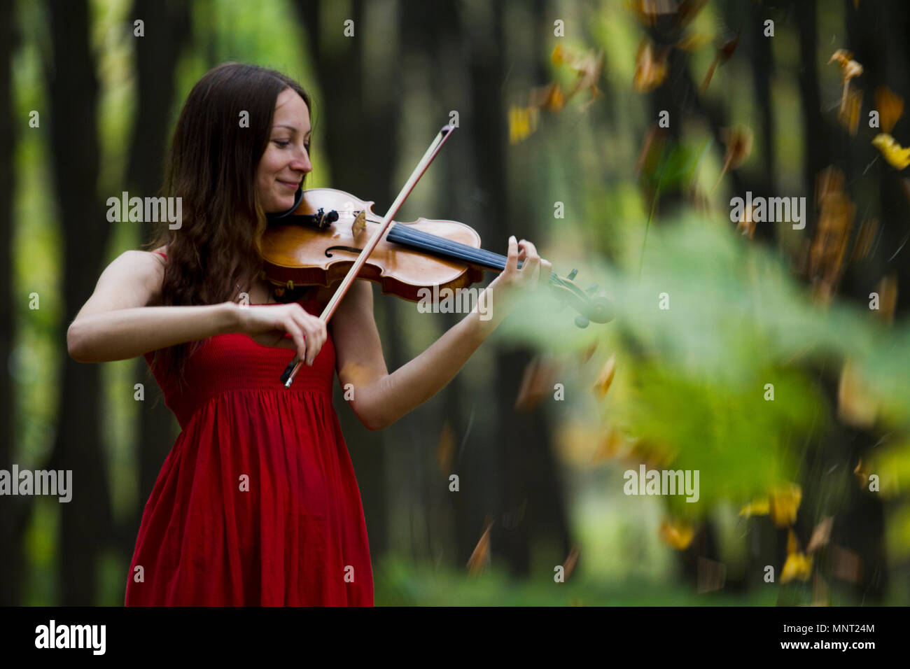 Girl in a red dress playing the violin in the woods, soft light Stock ...