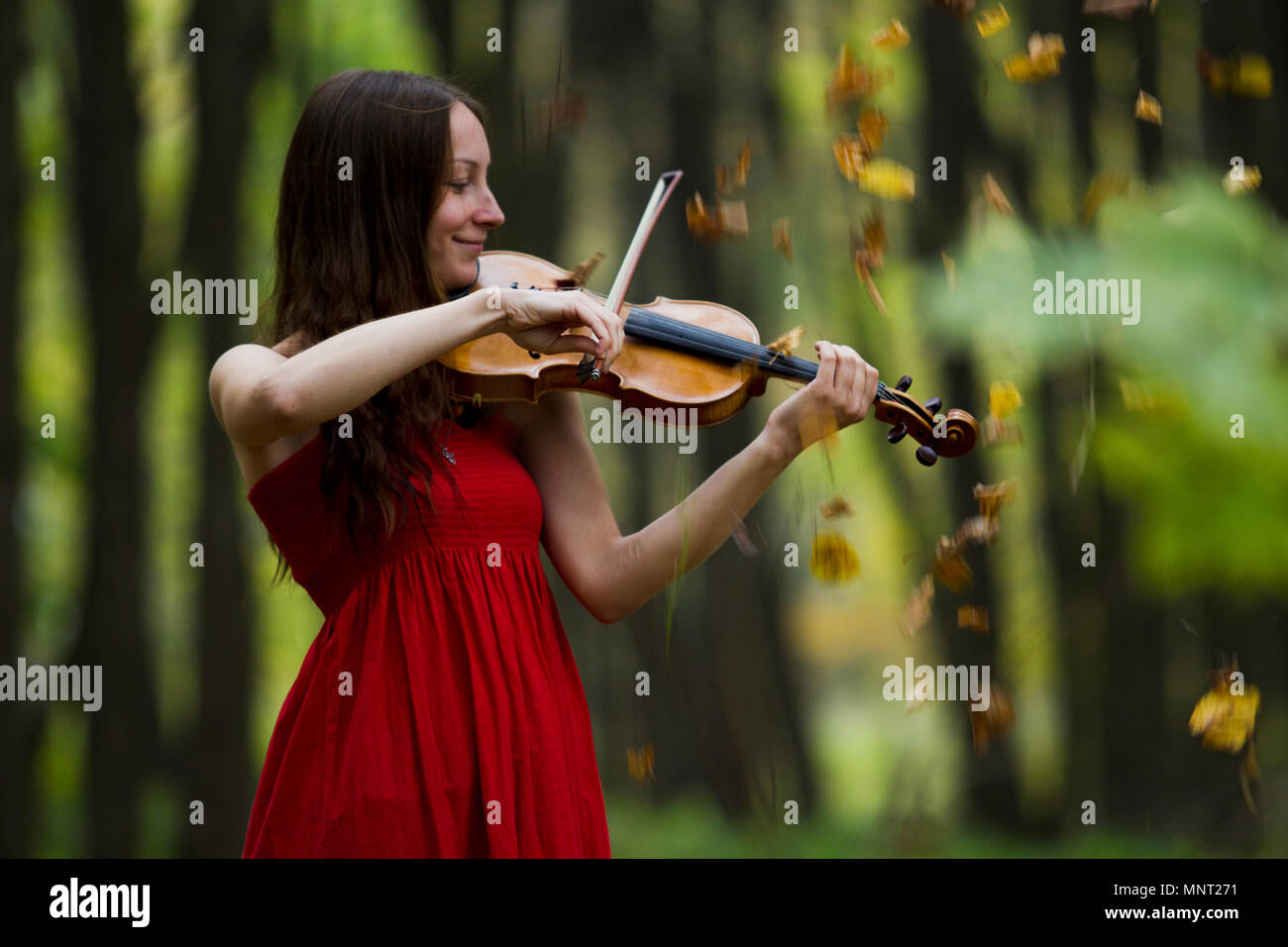 Girl in a red dress playing the violin in the woods, soft light Stock ...