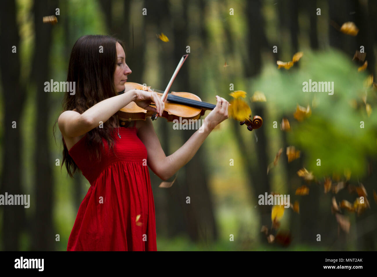 Girl in a red dress playing the violin in the woods, soft light Stock ...
