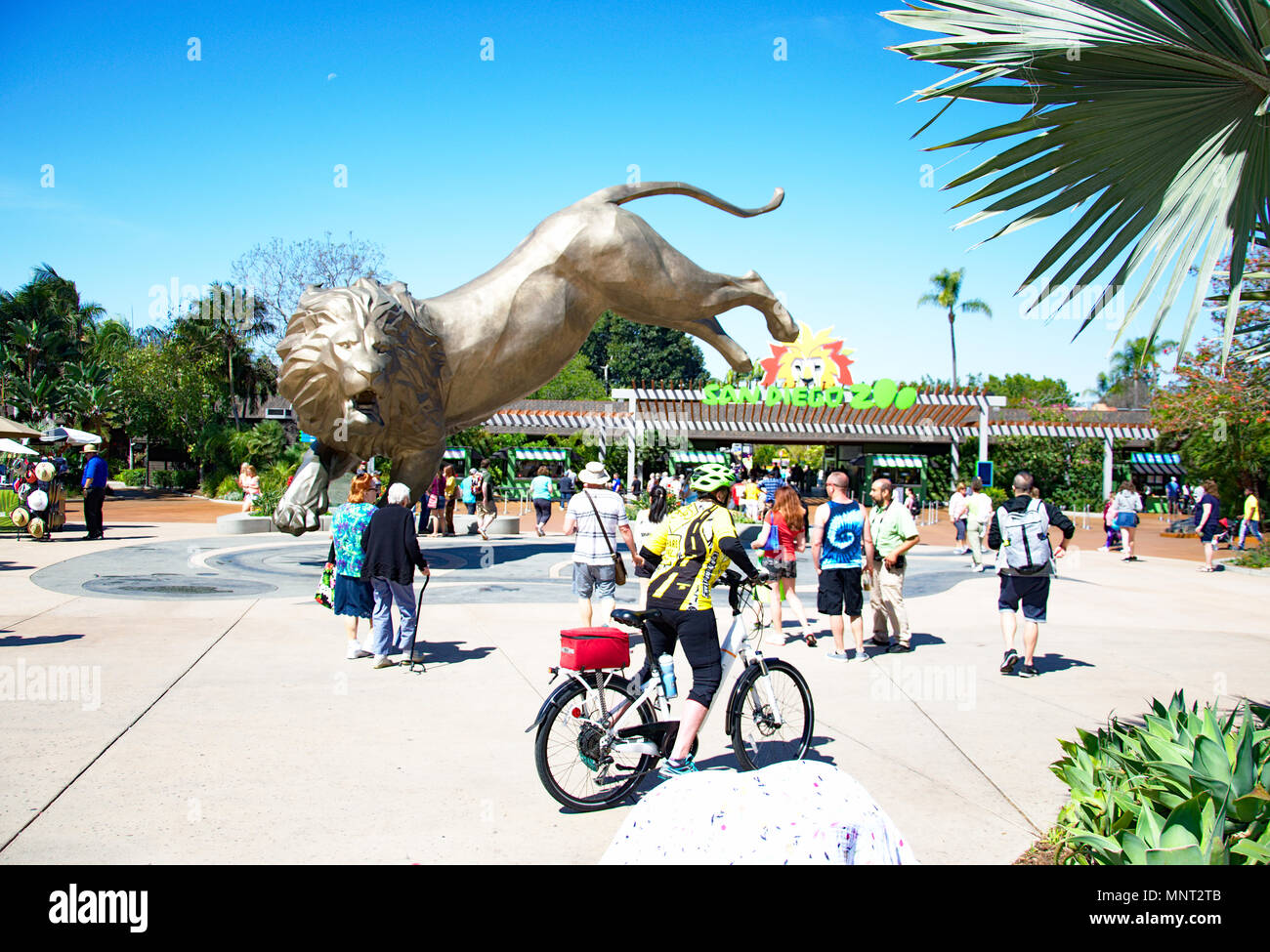Lion sculpture at entrance to San Diego Zoo with people Stock Photo