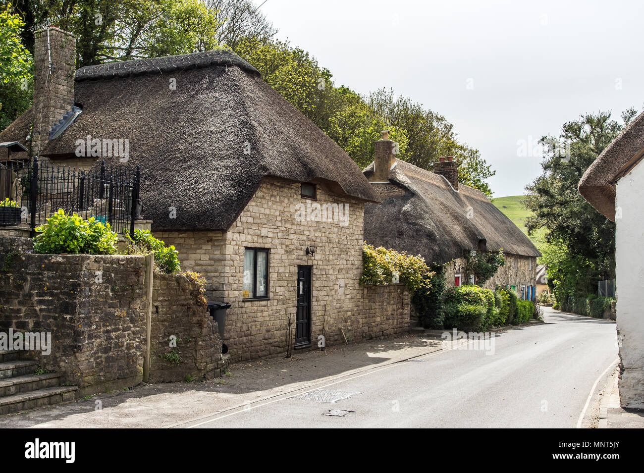 Picture Perfect Thatched Roofed Cottages At Lulworth On The