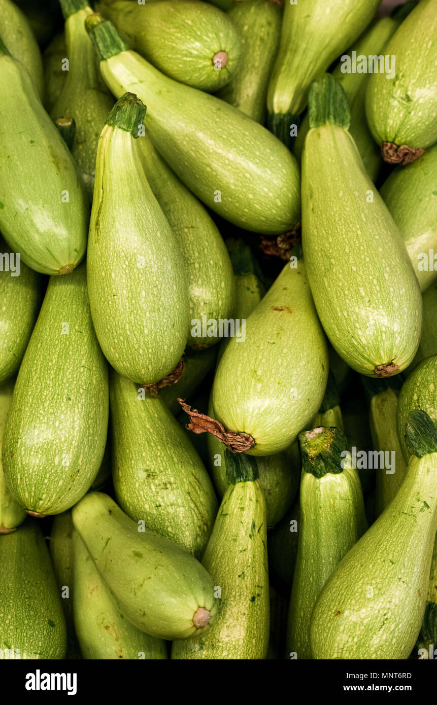 Pile of light green bottle gourds from Turkey Stock Photo Alamy