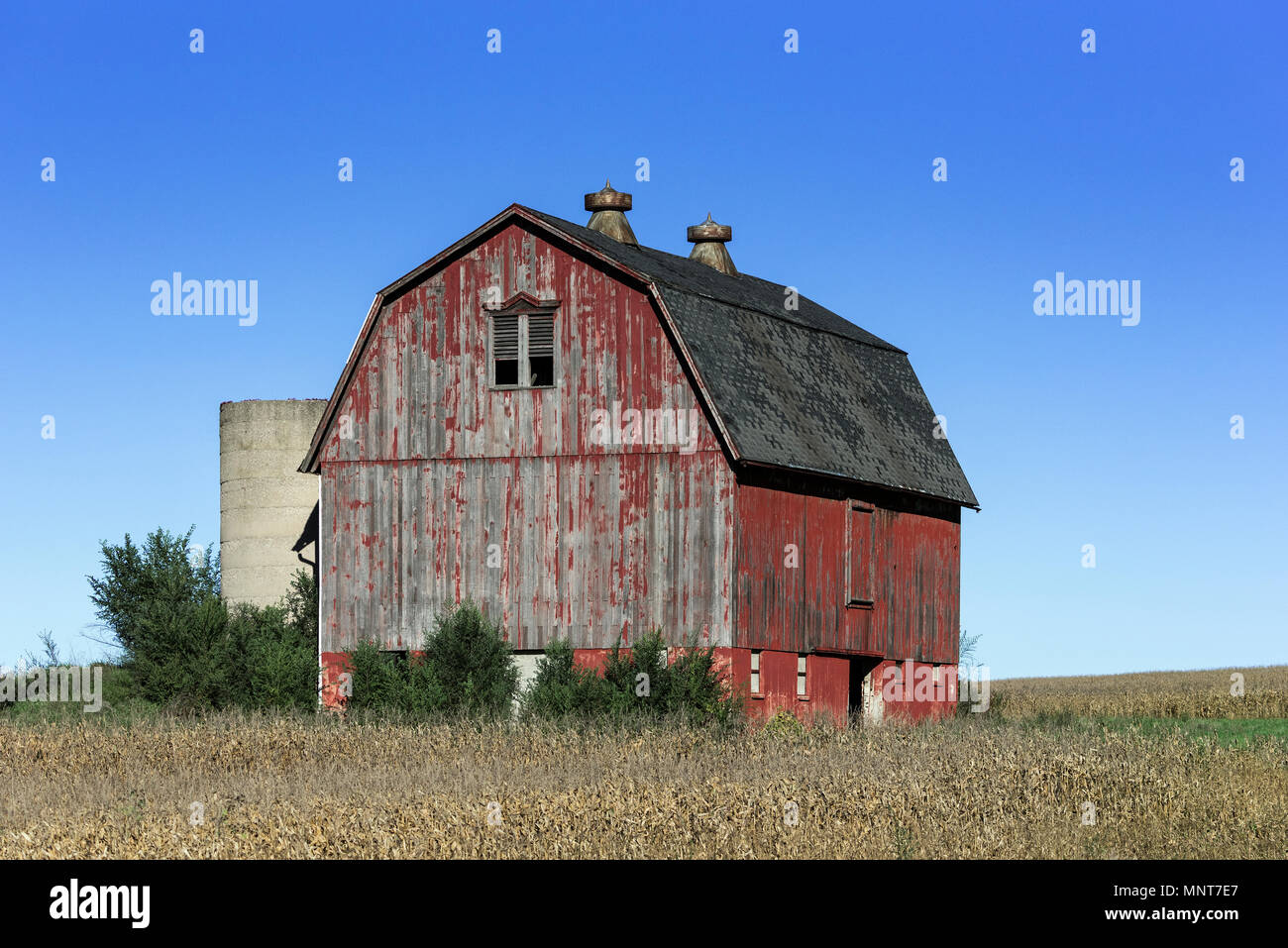 Scenic red barn and farmland, Scottsville, New York, USA. Stock Photo