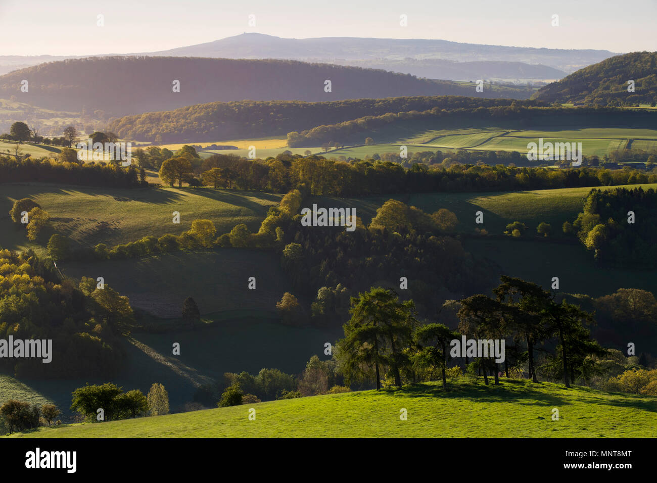 The view from Burrow Hill Camp, looking towards Titterstone Clee, Shropshire. Stock Photo