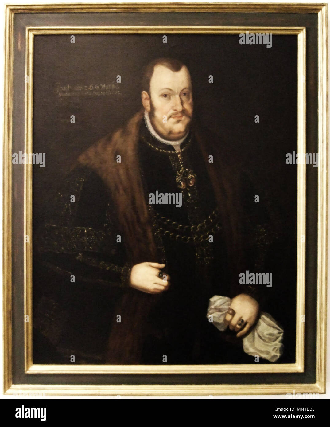 .  English: Joachim II Hector, Elector of Brandenburg. Deutsch: Kurfürst Joachim II. von Brandenburg. . 1562. Unknown 720 Joachim II von Brandenburg Stock Photo