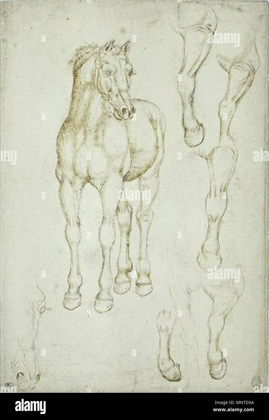 Лошади рисовать стоит. Изобразительные произведения на которых изображены кони. Конь иллюстрация. Лошадь эскиз. Изображенная лошадь лошадь которая.