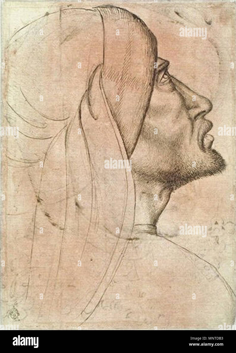 Français : Tête d'homme, de profil vers la droite   15th century.   1006 Pisanello - Codex Vallardi 2609 v Stock Photo