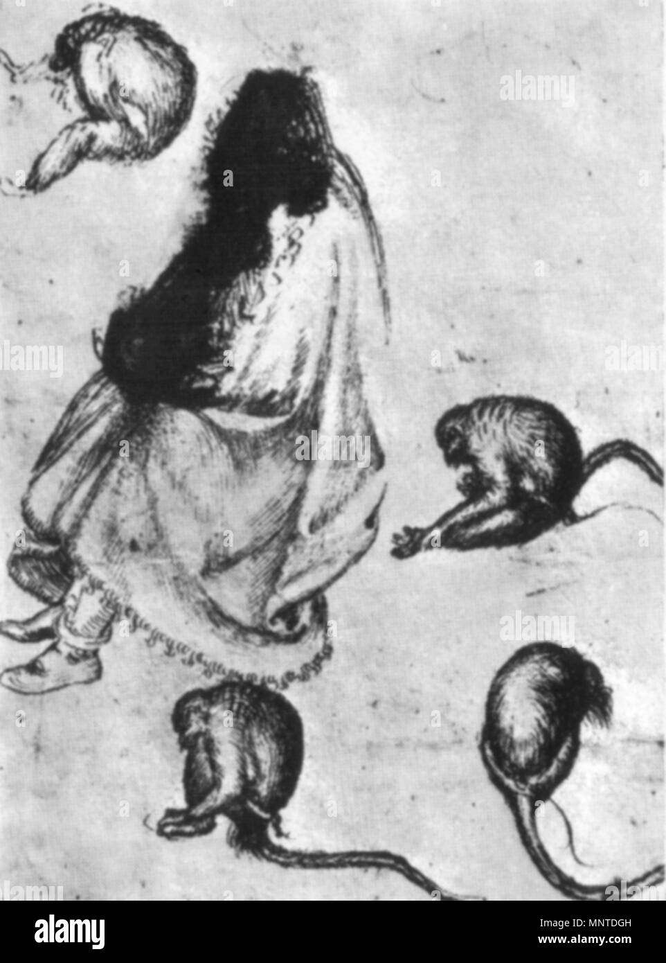 . Pisanello, disegni, louvre 2390r.jpg . 15th century. see filename or