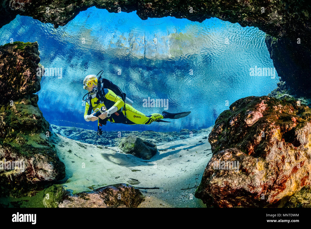 Ginnie springs main spring hires stock photography and images Alamy