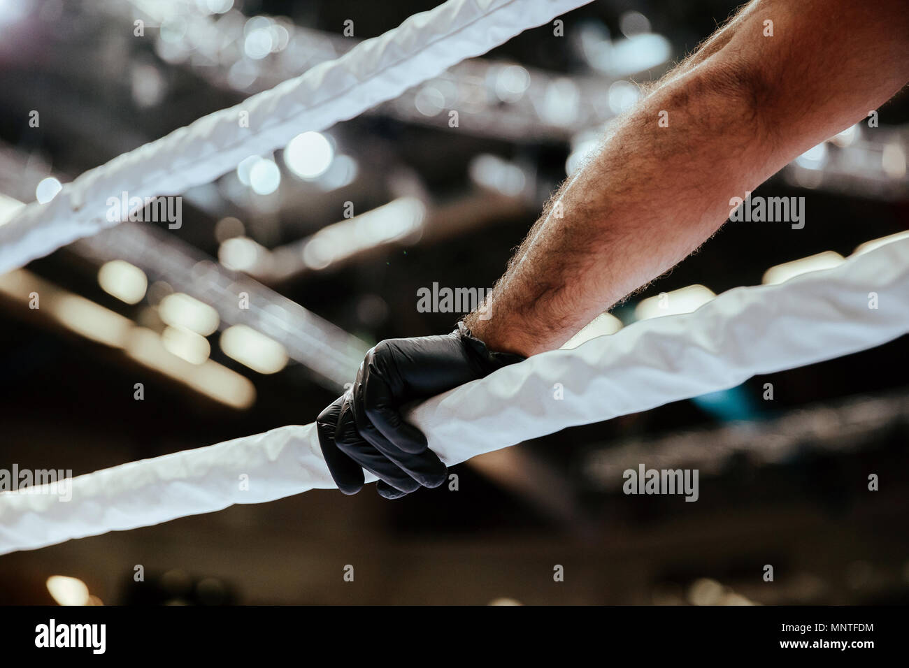 Top Hand Ropes Ringer referee hand in black glove on white ropes of ring Stock Photo - Alamy
