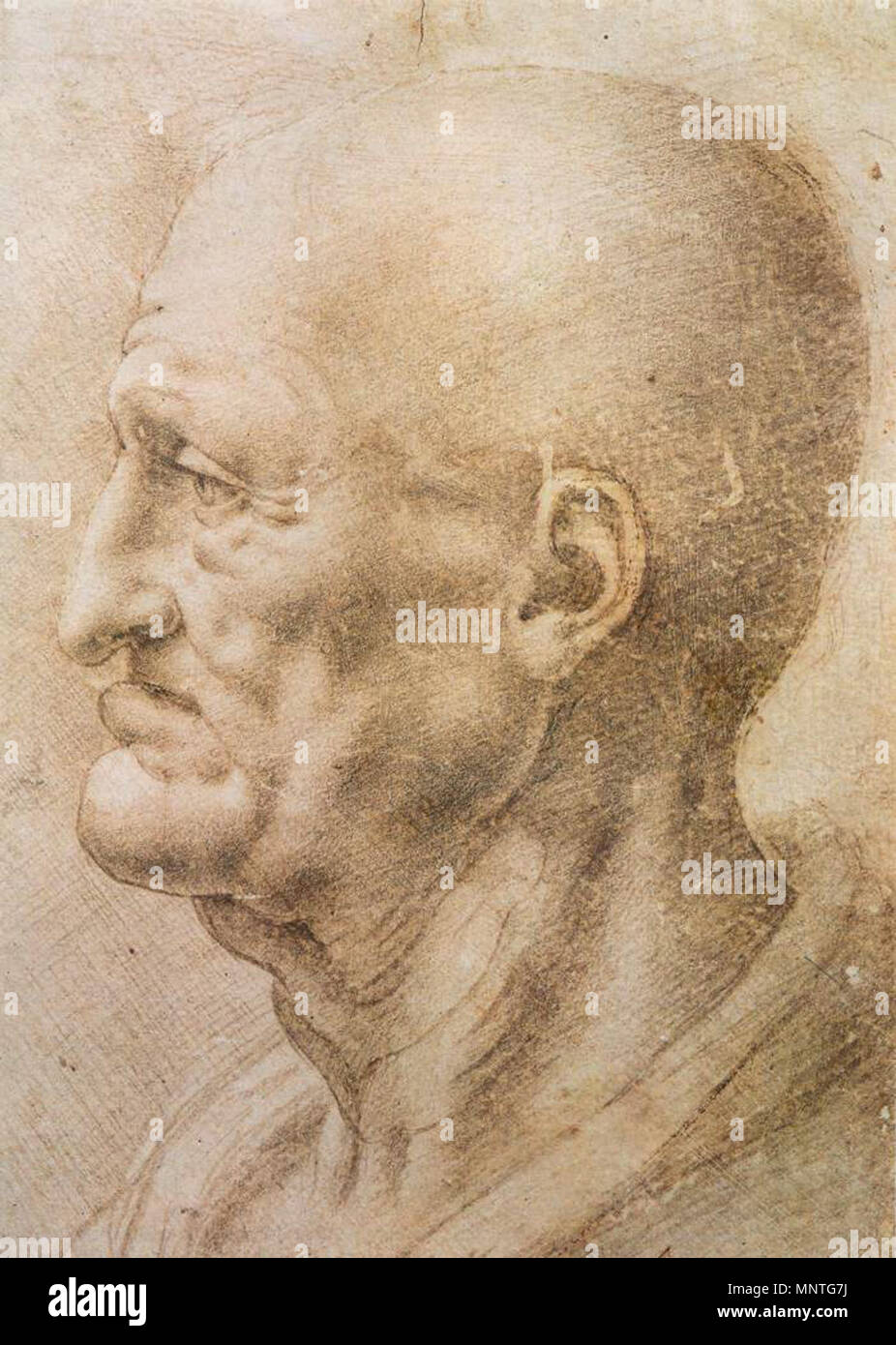 . Profile of an old man by da Vinci. Held by the Galleria degli Uffizi, Florence, Italy. Unknown date.   Leonardo da Vinci  (1452–1519)       Alternative names Leonardo di ser Piero da Vinci, Leonardo  Description Italian painter, engineer, astronomer, philosopher, anatomist and mathematician  Date of birth/death 15 April 1452 2 May 1519  Location of birth/death Anchiano Clos Lucé  Work period from 1466 until 1519  Work location Florence (1466–1482), Milan (1483–1499), Mantua (1499), Venice (1500), Florence (1500–1506), Milan (1506–1513), Florence (1507–1508), Rome (1513–1516), Amboise (1513–1 Stock Photo