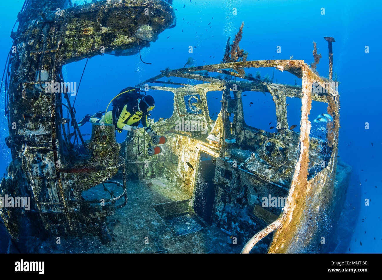 woman scuba diver, exploring shipwreck, P29, a Maltese patrol boat, formerly named, Boltenhagen (GS09), a German Kondor I-class minesweeper, Cirkewwa, Stock Photo