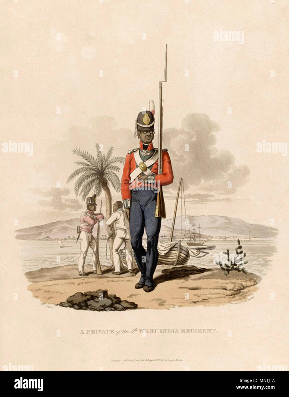 . English: Private of the 5th West India Regiment. Aquatint by J. C. Stadler after Charles Hamilton Smith, 1812. Many European soldiers stationed in the Caribbean succumbed to tropical diseases. The failed British intervention in Saint Domingue (modern Haiti) was also very costly in manpower terms. The Army was forced to look elsewhere for recruits and between 1795 and 1807 estimates suggest 13,400 Creole and newly-arrived Africans slaves were purchased for the West India Regiments. The reliance on slave conscripts was a factor in the prolongation of the slave trade to 1807. Most slave soldier Stock Photo