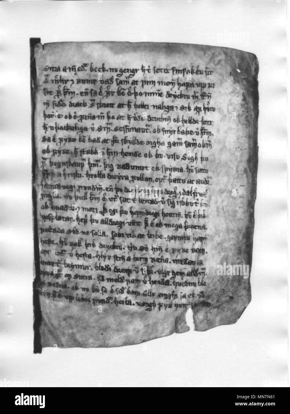 . Español: NKS 1824 b 4° folio del manuscrito Ragnars saga loðbrókar ...
