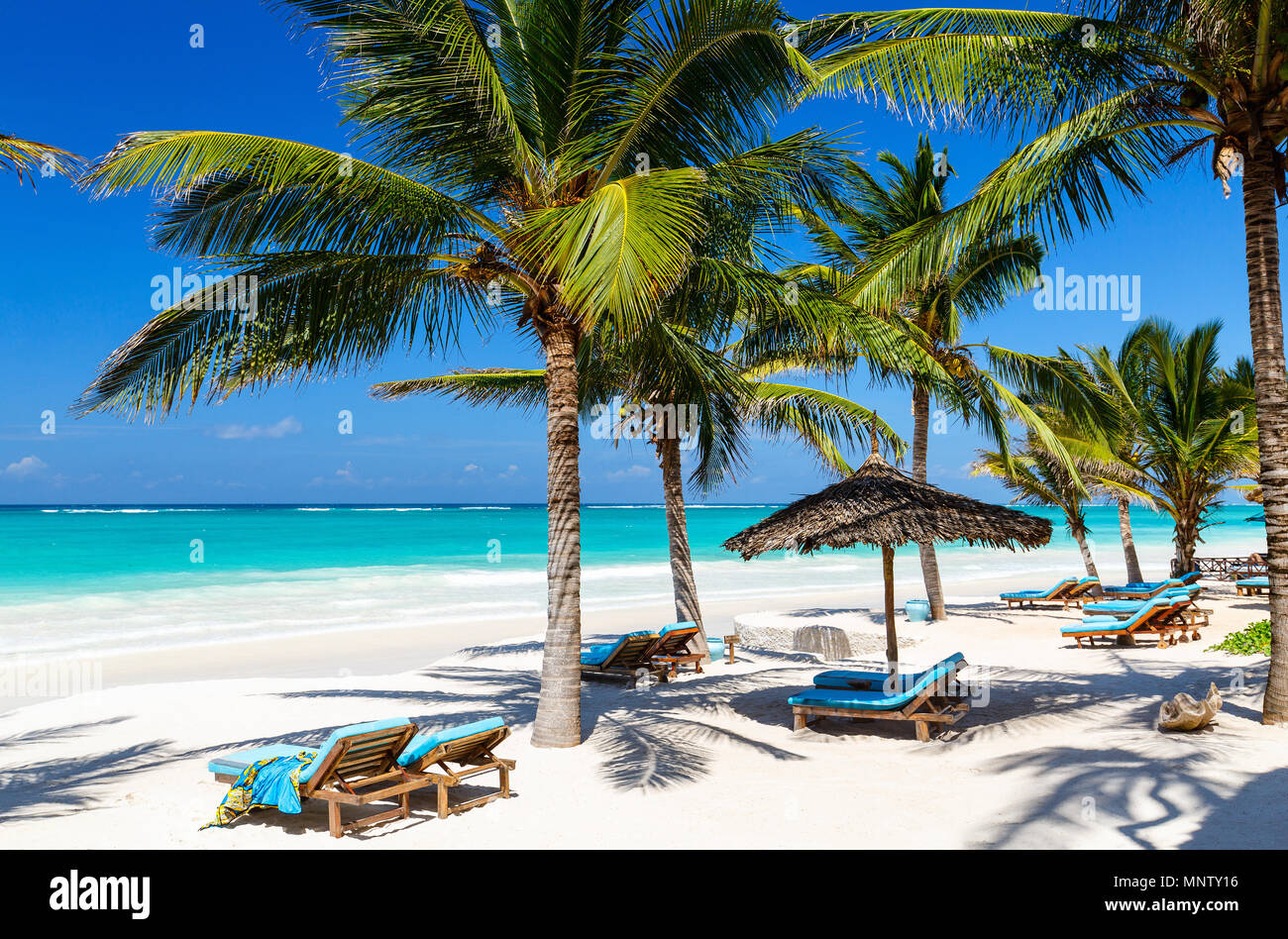 Beach beds among palm trees at perfect tropical coast Stock Photo Alamy