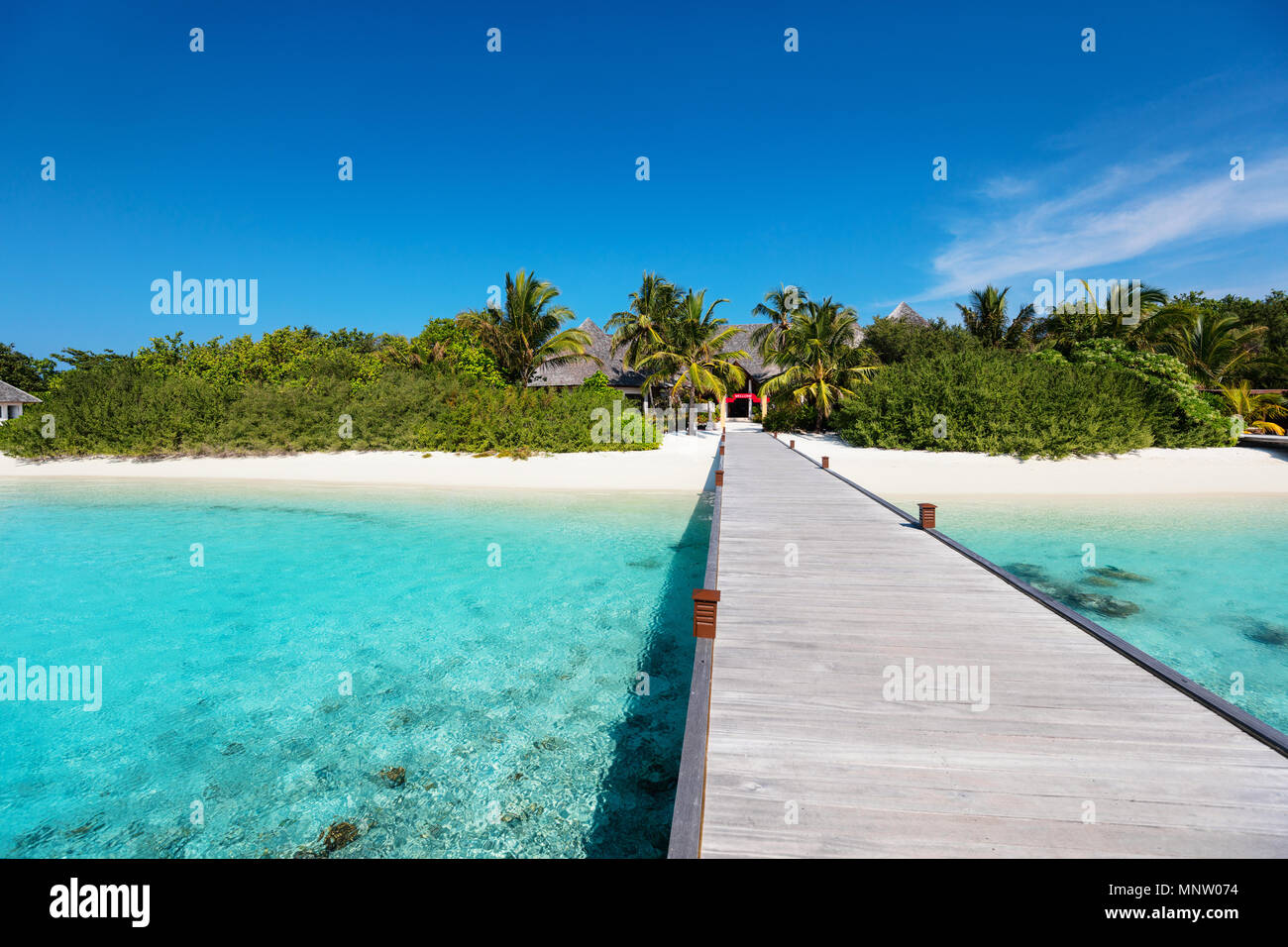 Tropical Heaven 2