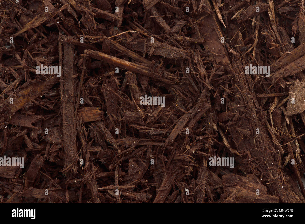 Tree bark and wood chips mulch used in horticulture closeup texture background Stock Photo