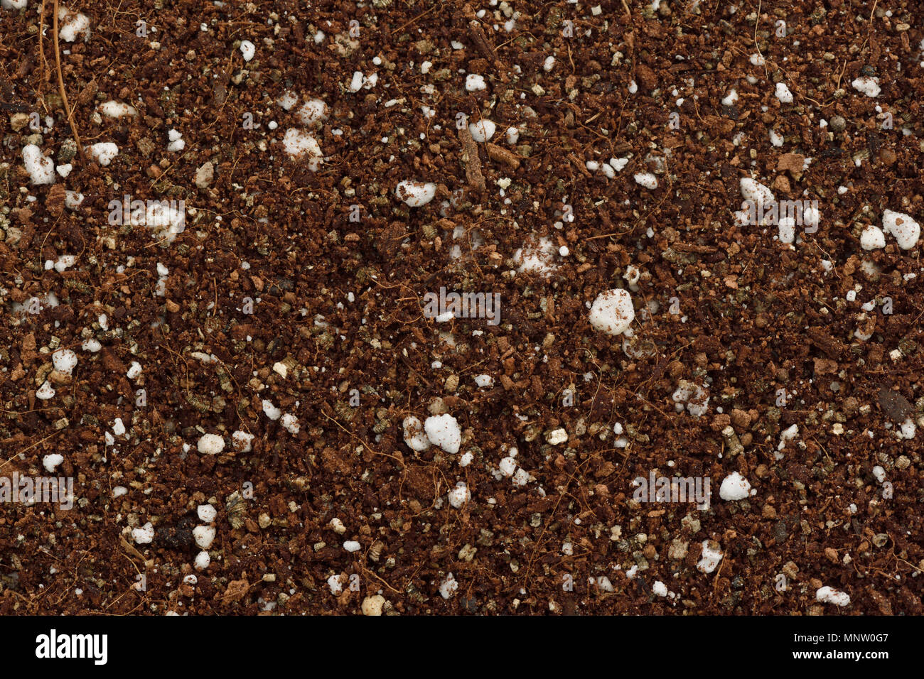 Germination media or soilless growing potting mix of coconut coir