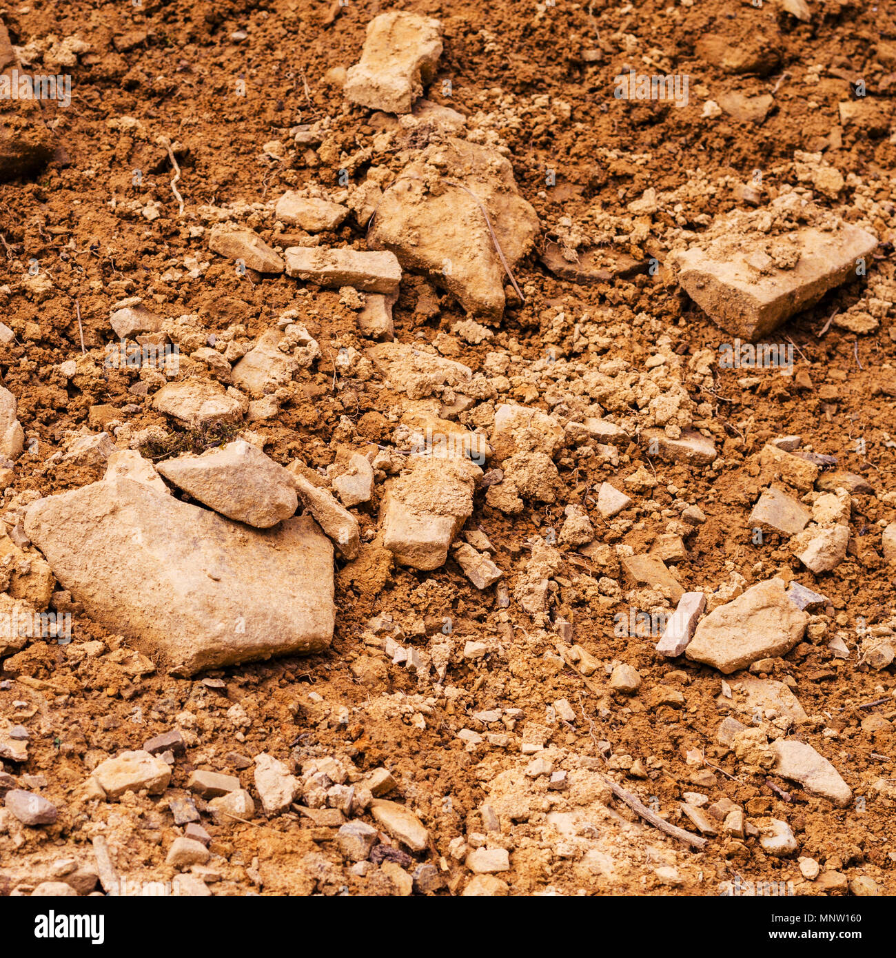 Ground background with natural light. Clay in the form of lumps and soil and rock. Brown earth and lay soil. Earth texture with day light. Square. Clo Stock Photo