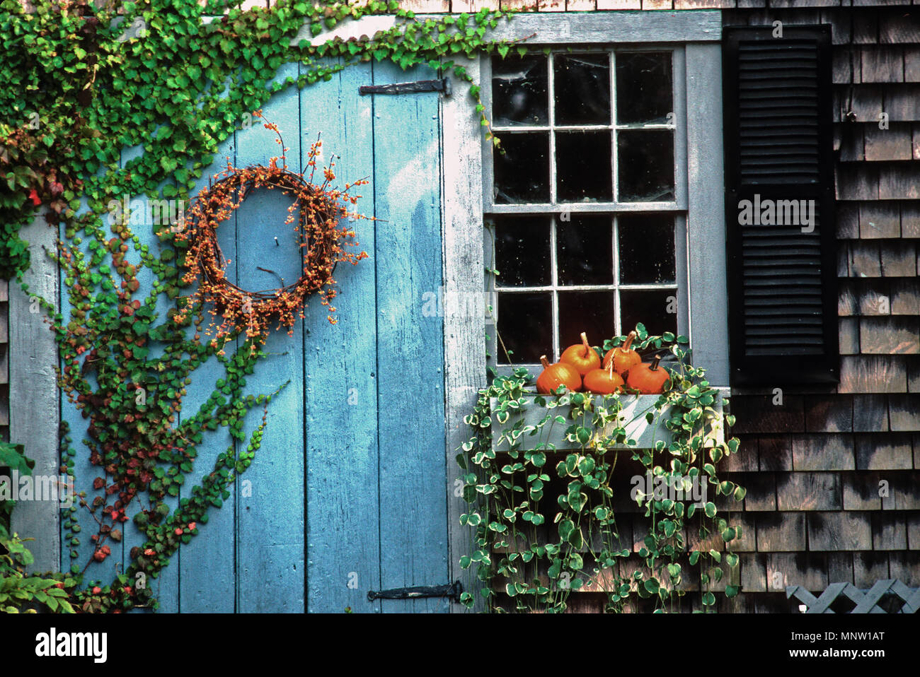 Autumn Decorations On The Side Of An Old Barn In Barnstable