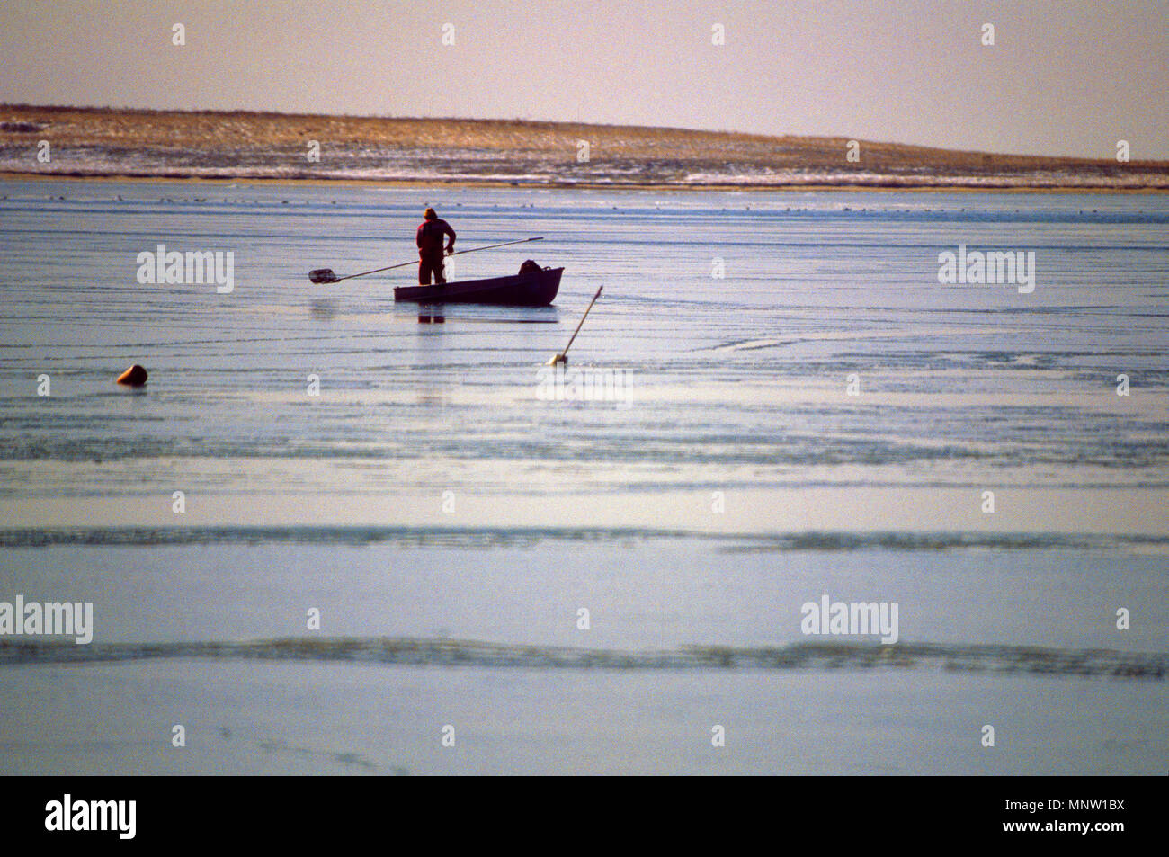 Commercial clamming hi-res stock photography and images - Alamy