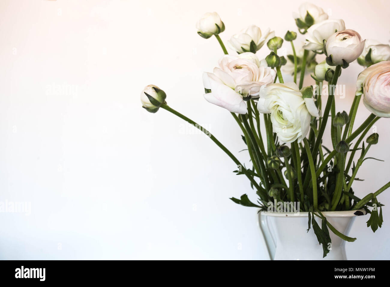 Soft home decor, white jug, vase with white small flowers on a white ... Soft home decor, white jug, vase with white small flowers on a white ...