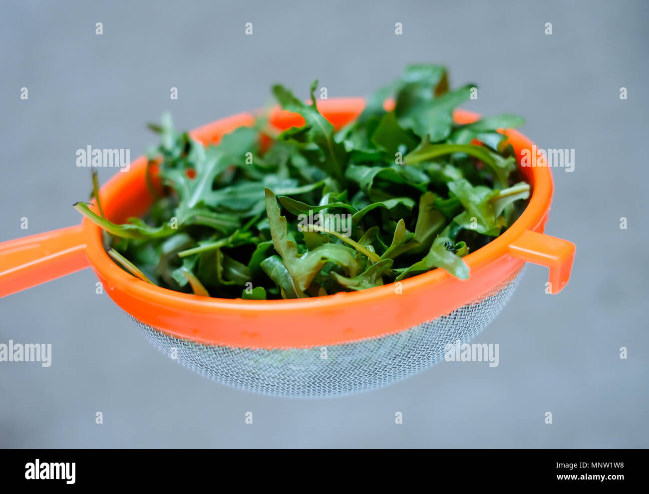 Fresh fragrant arugula in a colander on a neutral light background. Wash greens before eating or cooking Stock Photo