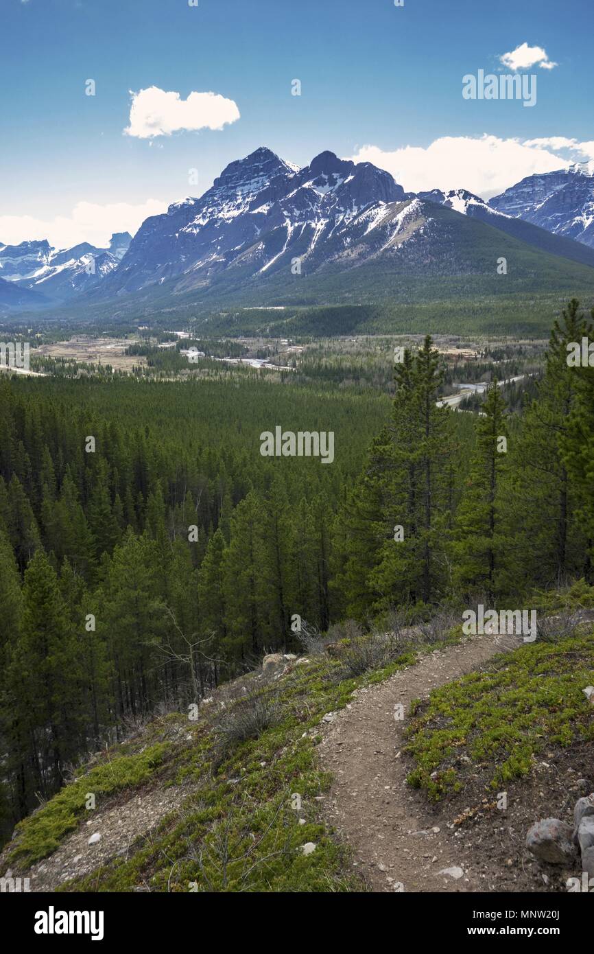 Springtime Hiking Trail and Distant Mountain Kidd Landscape in