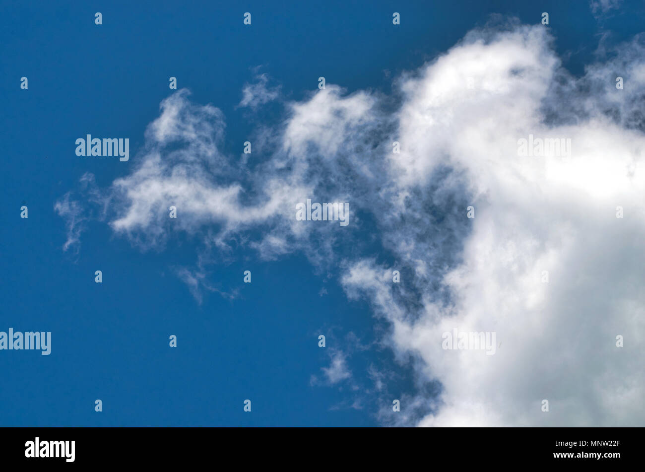 White fluffy clouds in the vast blue sky. Predominantly sky, copy space ...