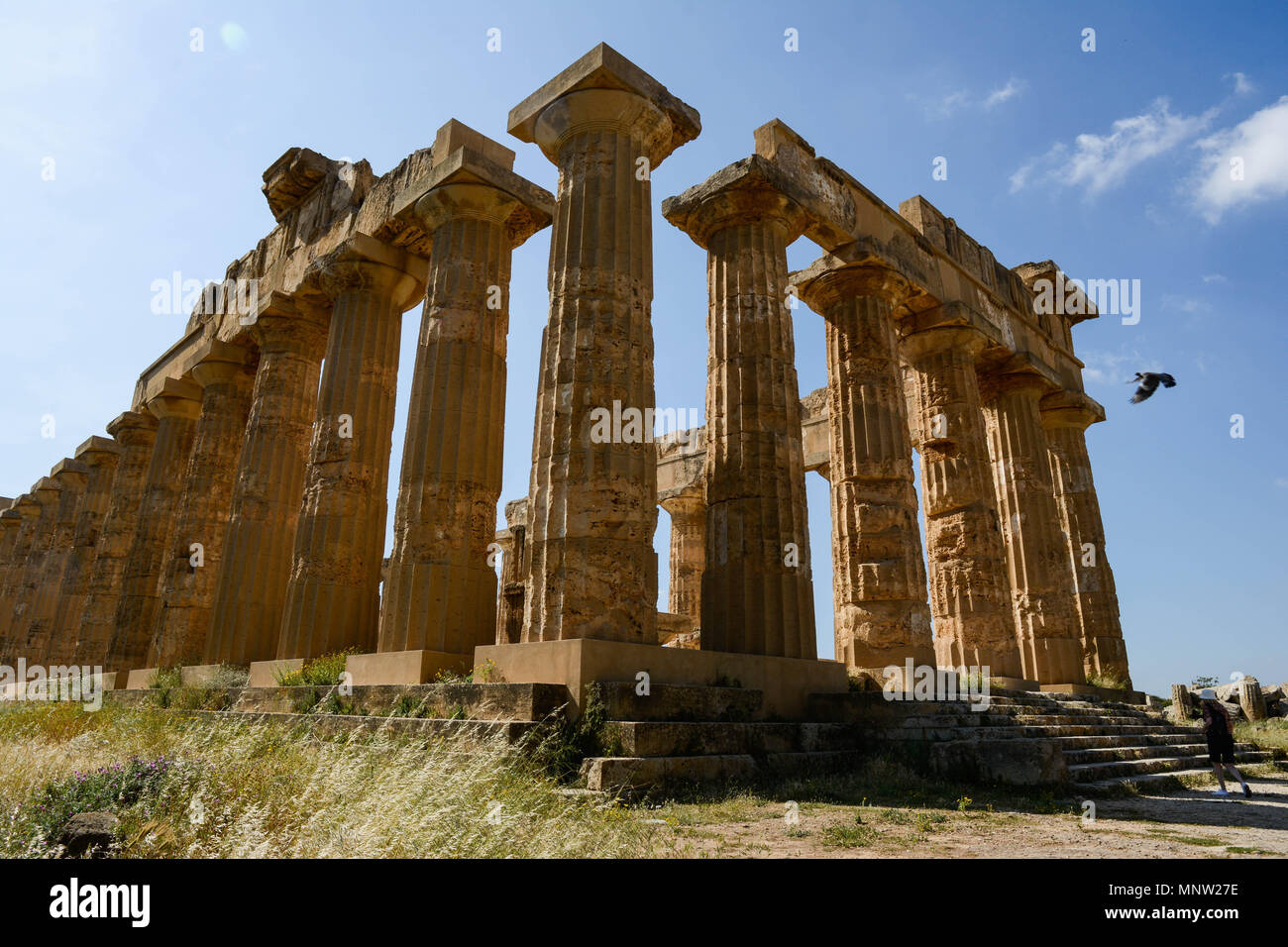 Greek Temple of Selinunte Sicily Stock Photo - Alamy