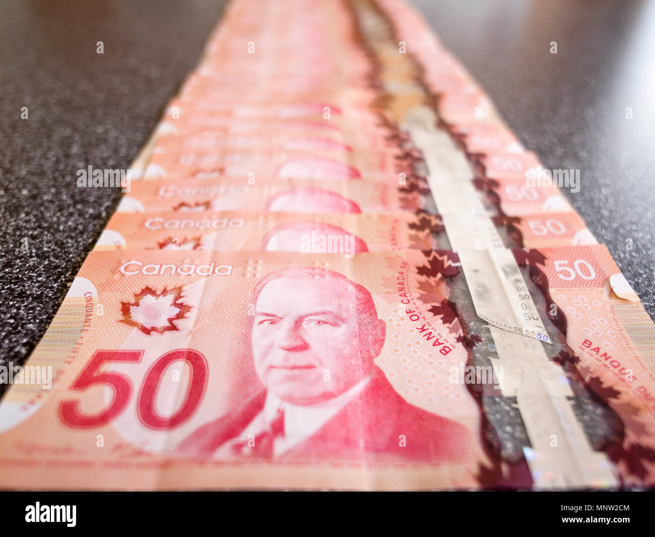 A line of Canadian 50 dollar bills: A long line of Canadian fifty dollar bills spread out on a counter. Stock Photo
