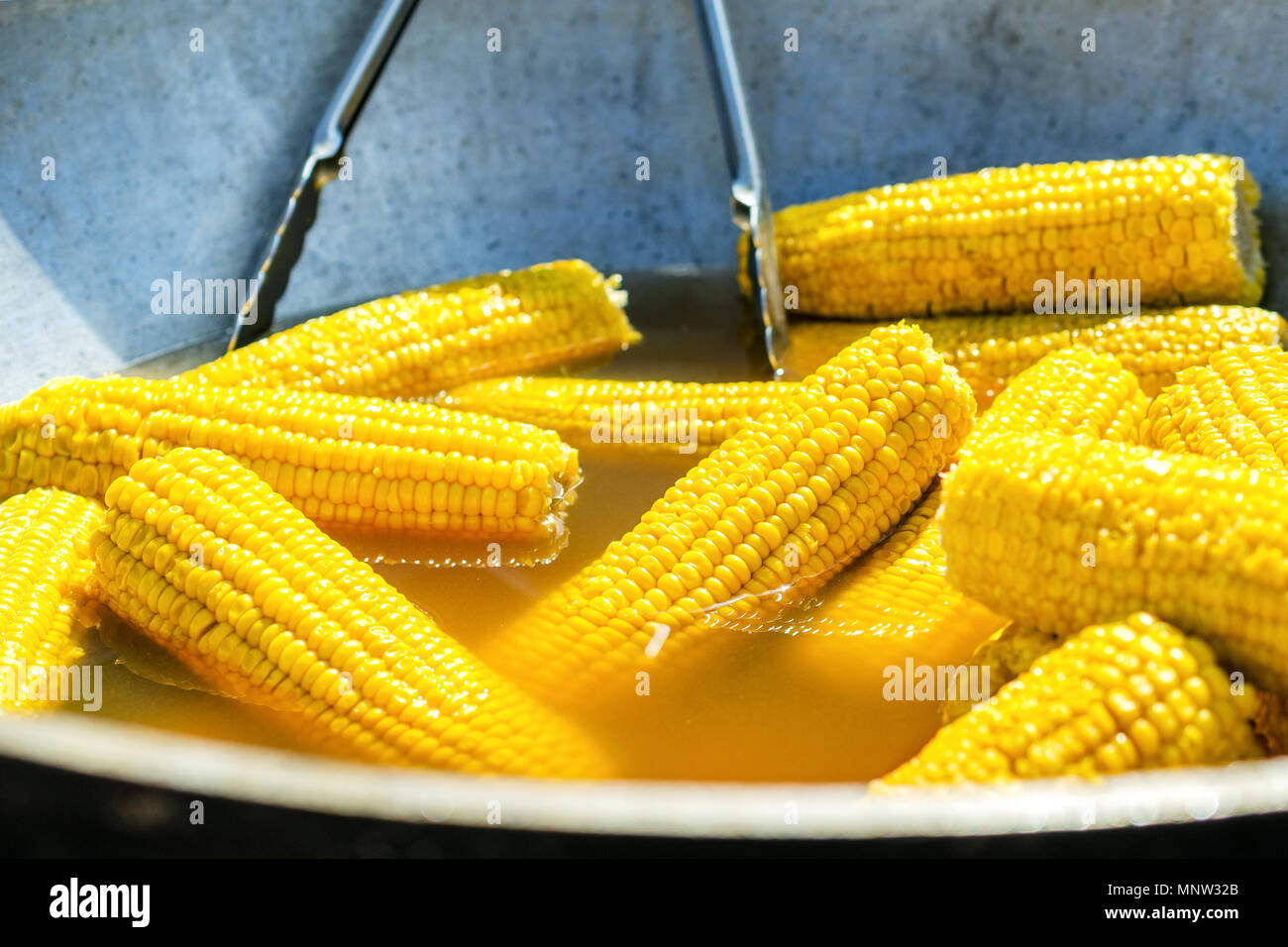 A lot boiled golden corn on the cob. Pierced on wooden sticks. Boiling ...