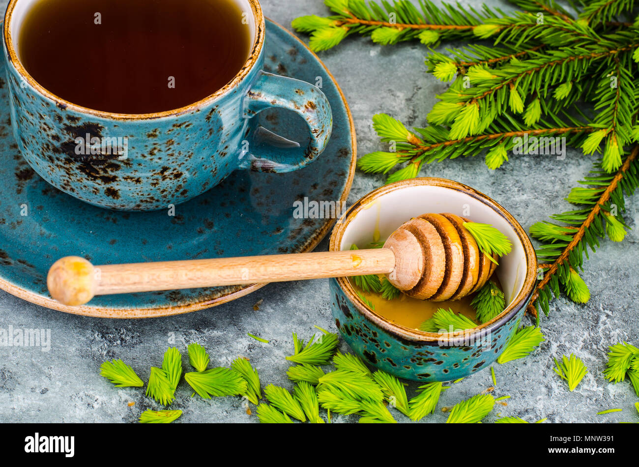Honey, jam from green spruce shoots. Studio Photo Stock Photo