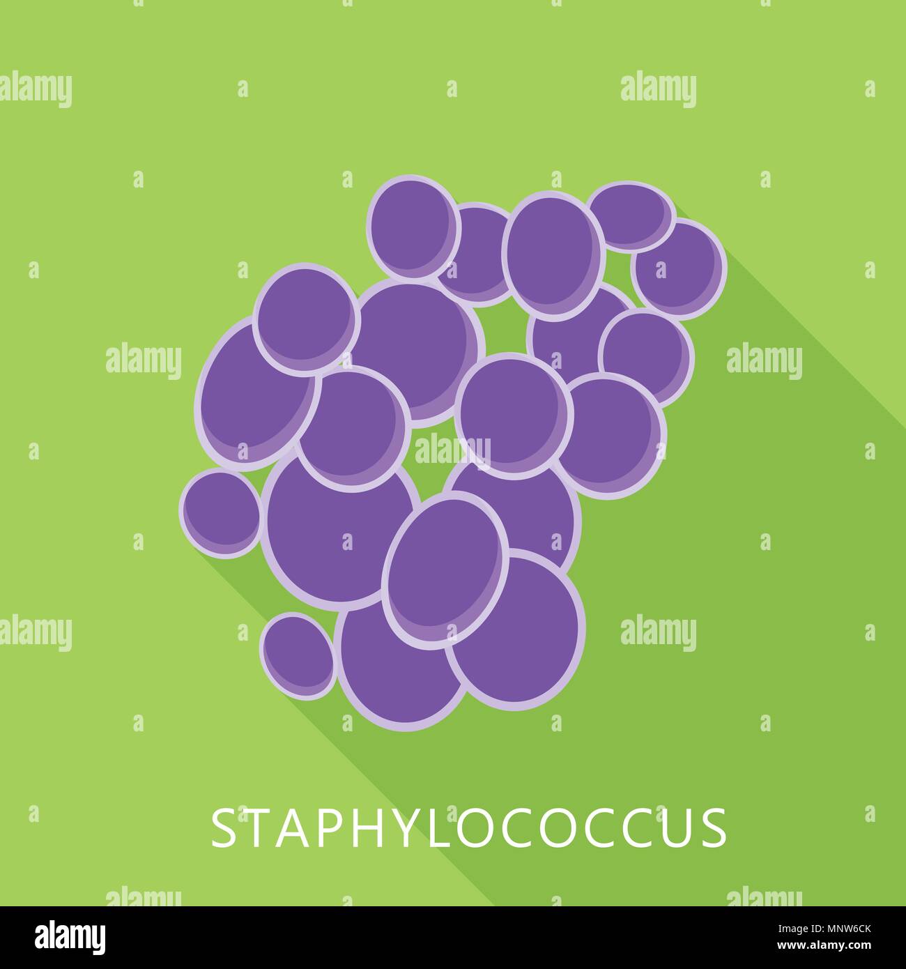 Staphylococcus icon, flat style Stock Vector