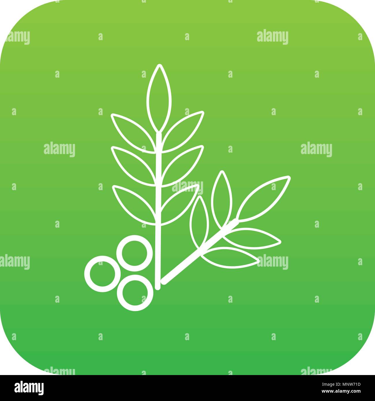 Spa eco leafs icon green vector Stock Vector