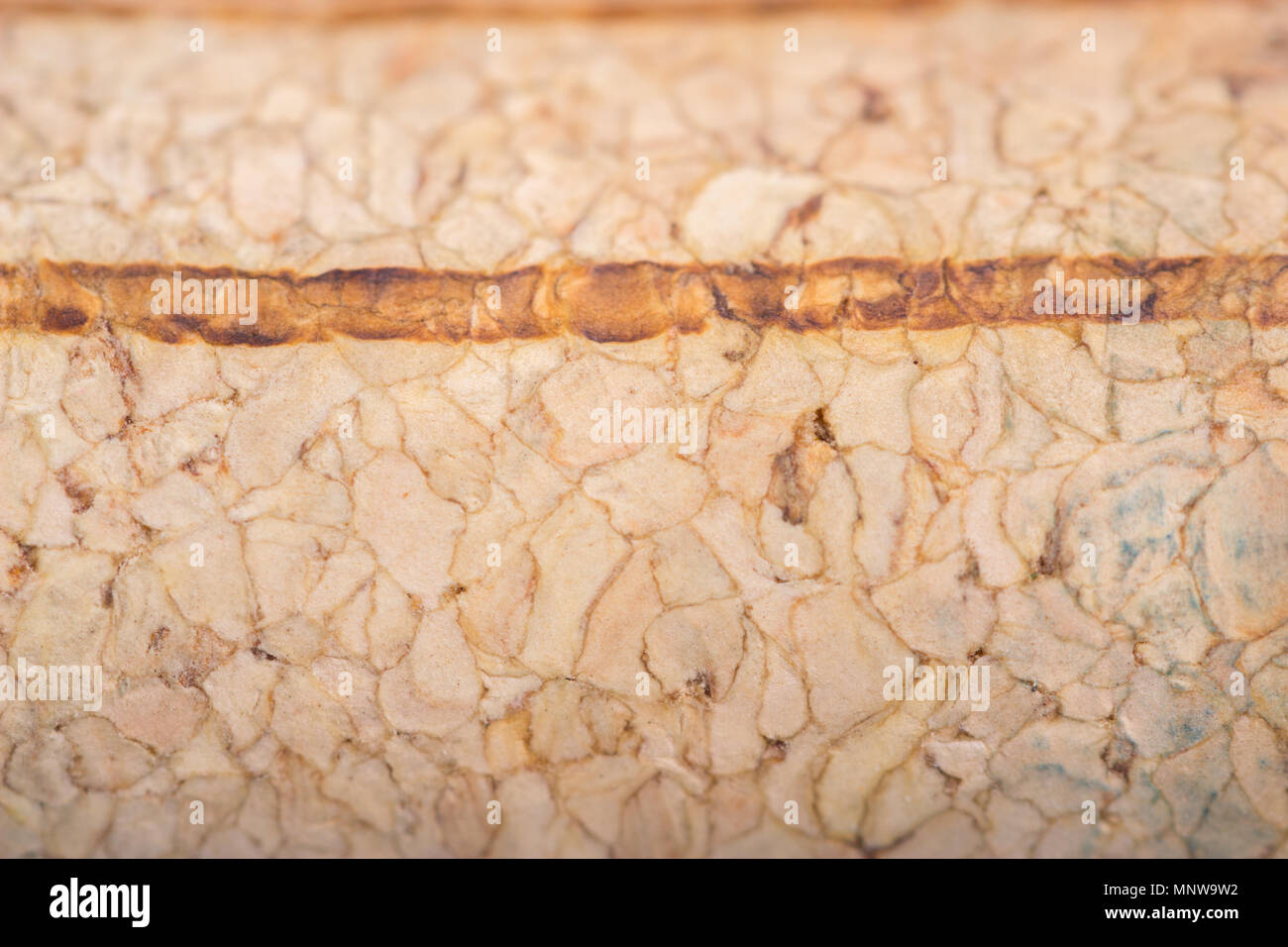 wine corks macro. extreme close up background Stock Photo