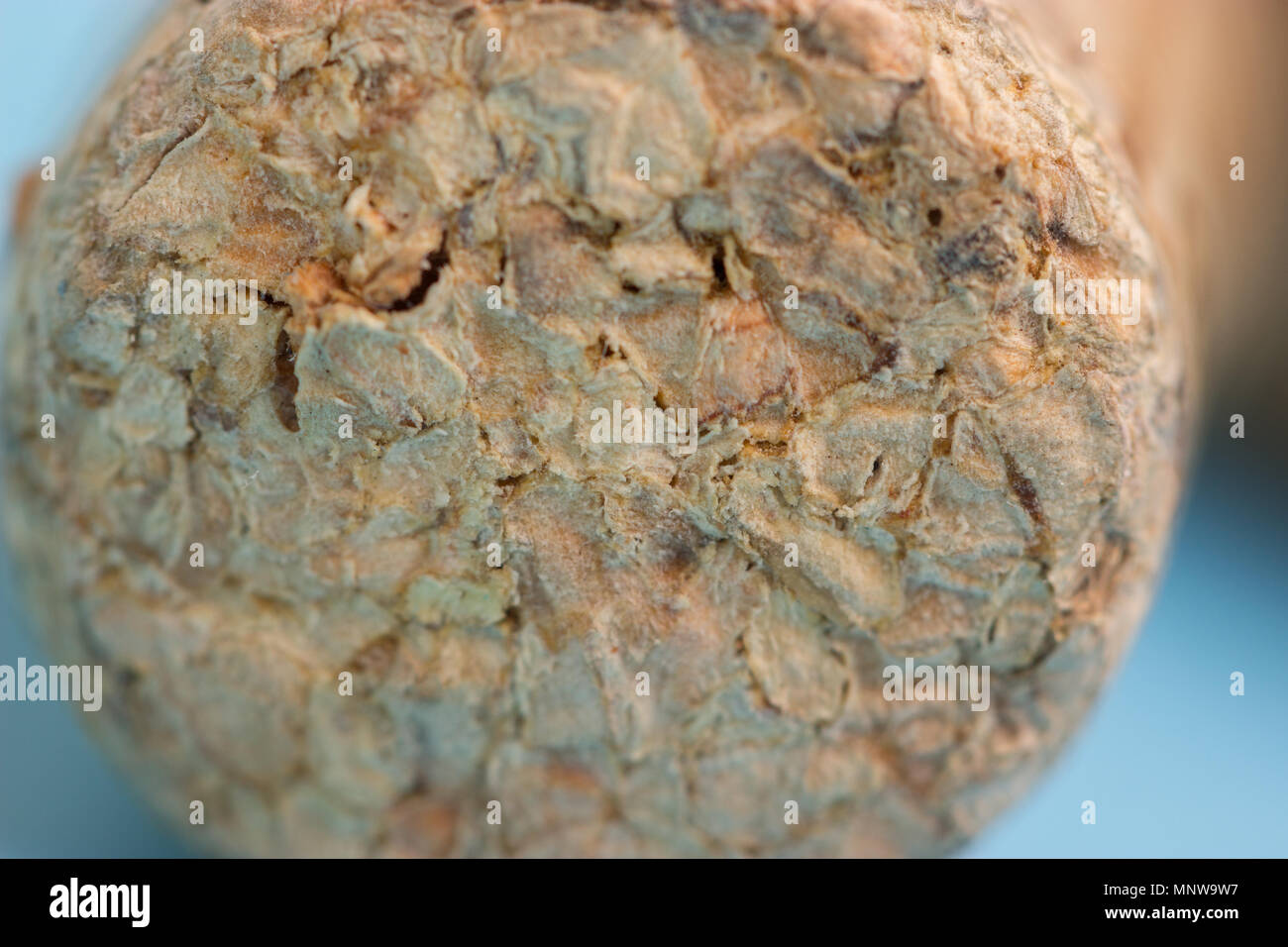wine corks macro. extreme close up background Stock Photo