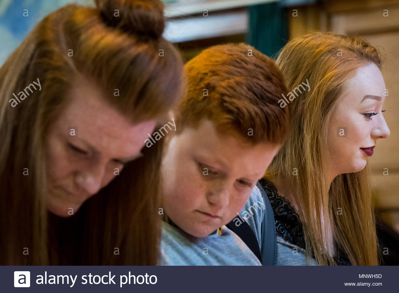 Reddish Blond Hair Stock Photos Reddish Blond Hair Stock Images