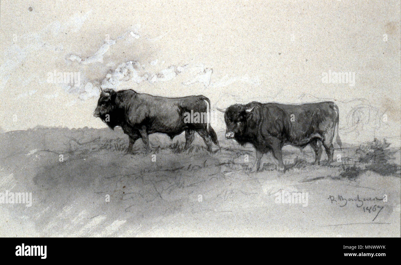 Rosa Bonheur (French, 1822-1899). 'Andalusian Bulls,' 1867. ink wash with white heightening over graphite underdrawing on slightly textured, moderately thick, blue laid paper.. Walters Art Museum (37.911): Acquired by William T. Walters, before 1879. 37.911 1072 Rosa Bonheur - Andalusian Bulls - Walters 37911 Stock Photo